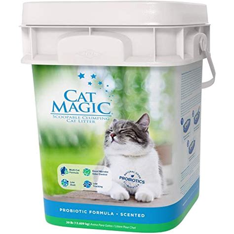 Magical kitty litter mixture